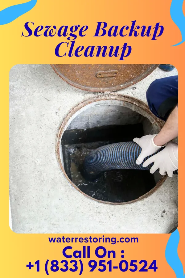 Sewage Backup Cleanup in Shueyville, IA